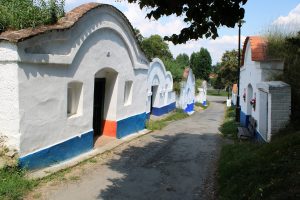 Od pátku do neděle vždy někdo víno naleje. Až do září FOTO