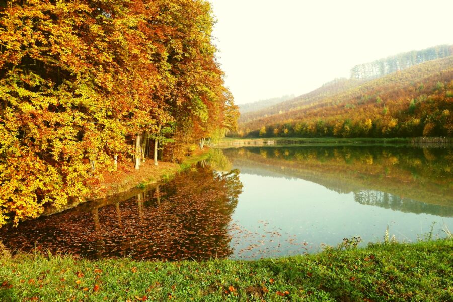 Přírodní park Ždánický les FOTO