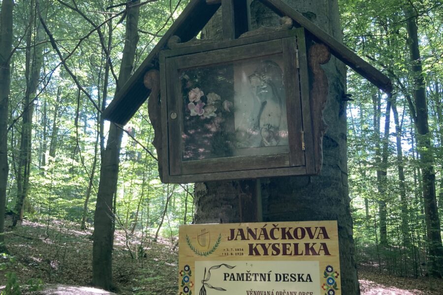 Janáčkova kyselka FOTO