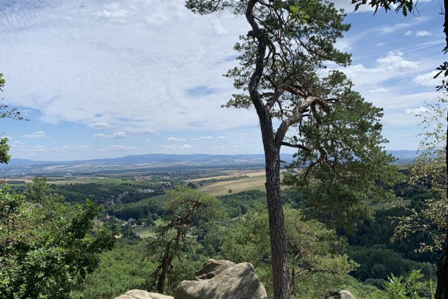 Procházka v Chřibech: kolem Břestecké skály, Buchlovského kamene i hradu Buchlov FOTO