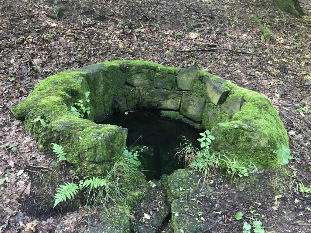 studánka U Králova stolu