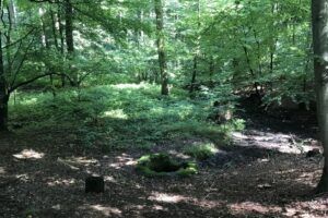 U Králova stolu studánka (3)