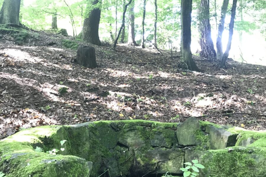 studánka U Králova stolu FOTO