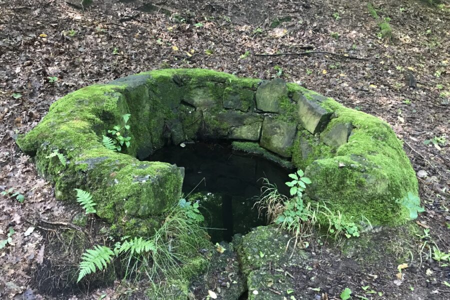 studánka U Králova stolu