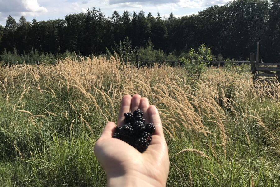 Pěšky za skalními útvary v Chřibech FOTO