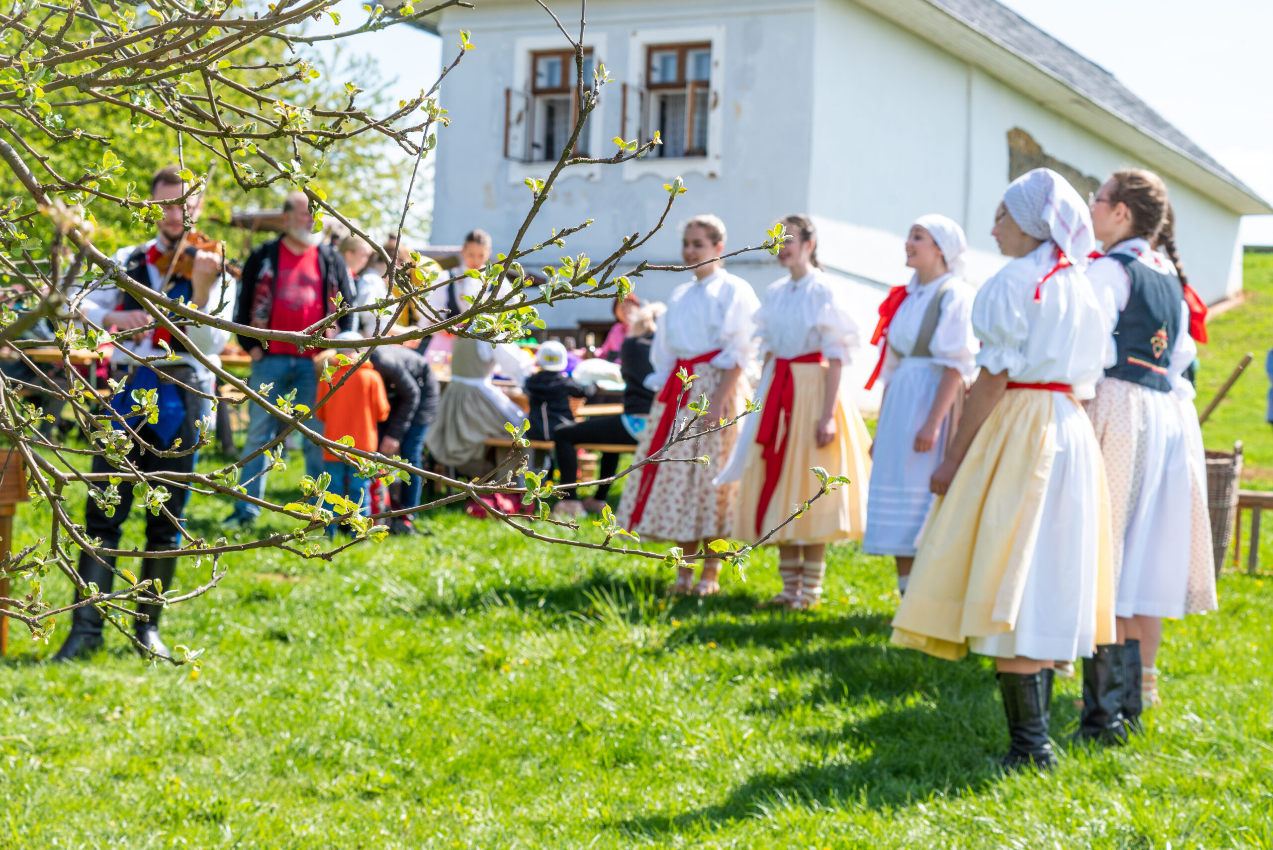 Otevírání pastvin a stavění máje ve skanzenu Rochus