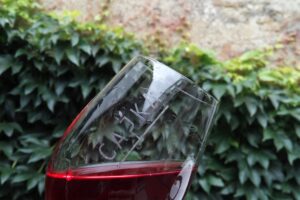 Kam za vínem v Uherském Hradišti? Od května do září nebude nouze FOTO