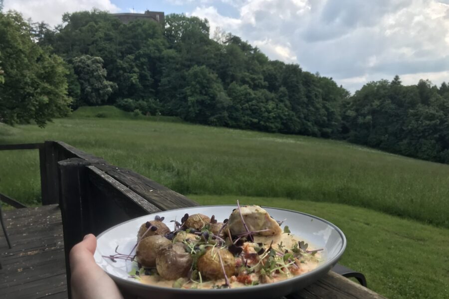 Odpočinek v podhradí na hotelu Buchlov FOTO