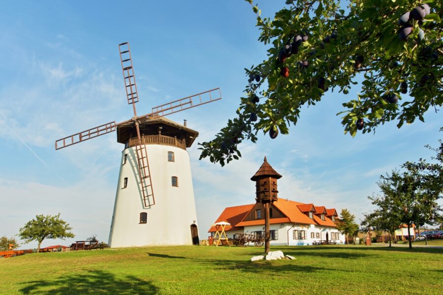 Husí a kachní hody na Bukovanském mlýně