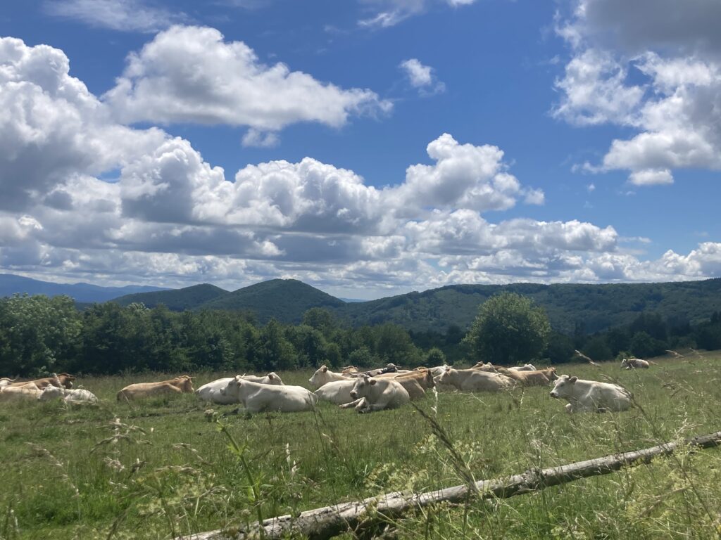 Slovácko-Slovensko aneb z Vyškovce na Machnáč