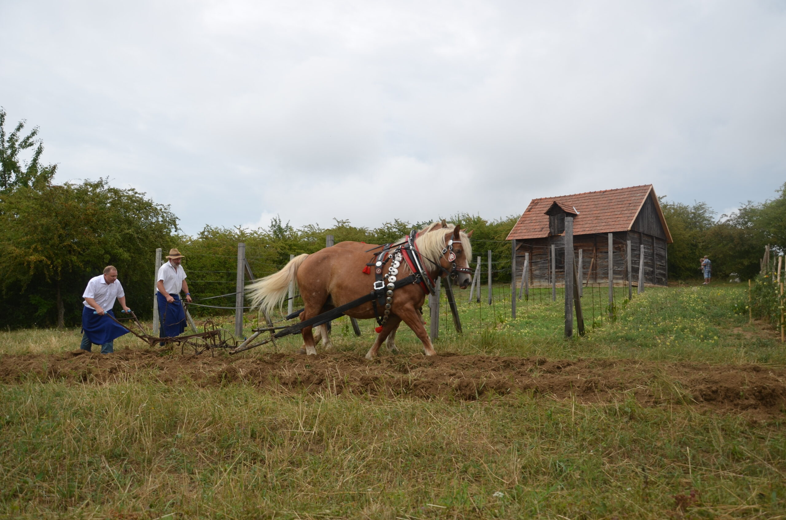 Nový program „Pole, louky, sady, neumřeme hlady“ ve skanzenu Rochus v Uherském Hradišti je tady!