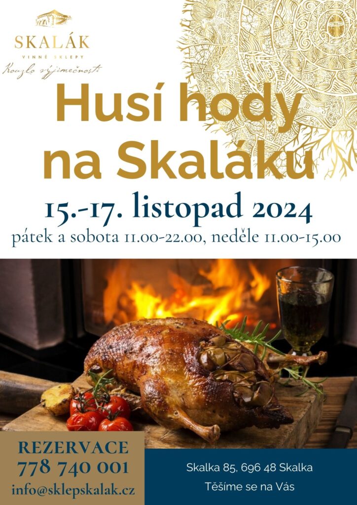 Husí hody na Skaláku 2024