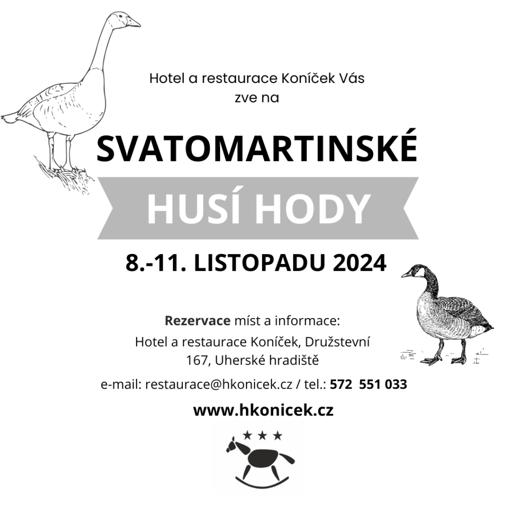 Svatomartinské hody