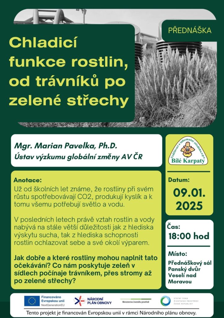 Chladící funkce rostlin, od trávníků po zelené střechy